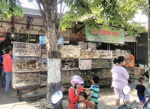 Foto Pelanggan dengan Anjingnya